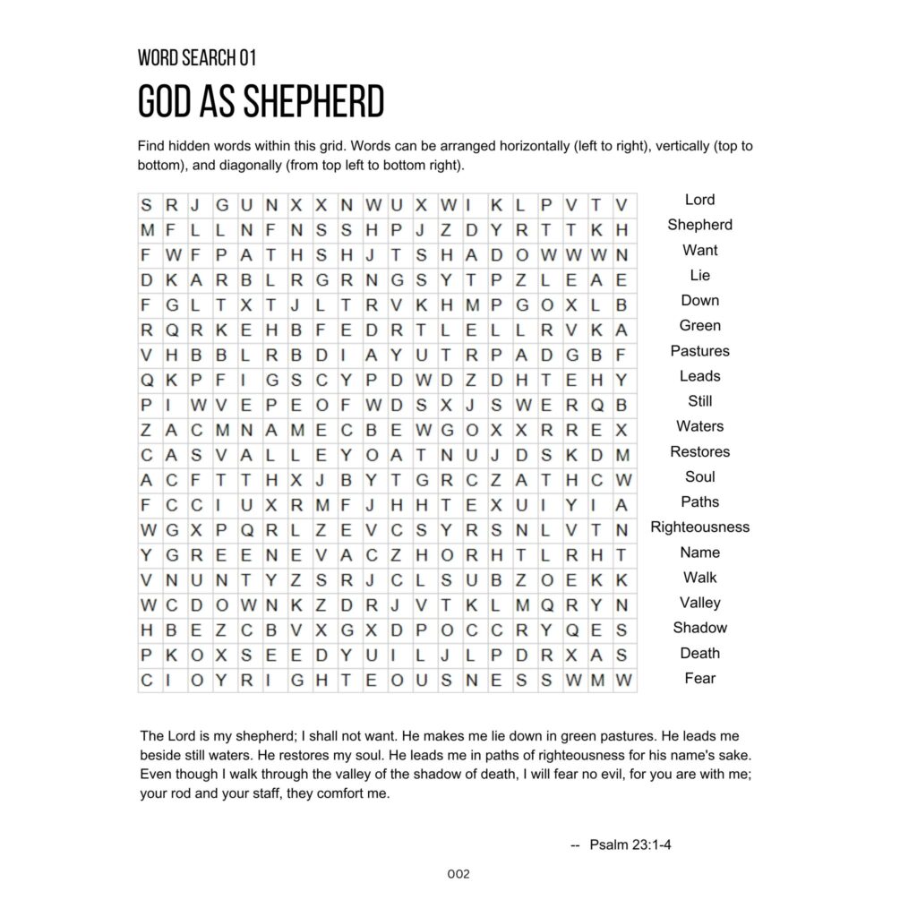 Bible activity book - word search