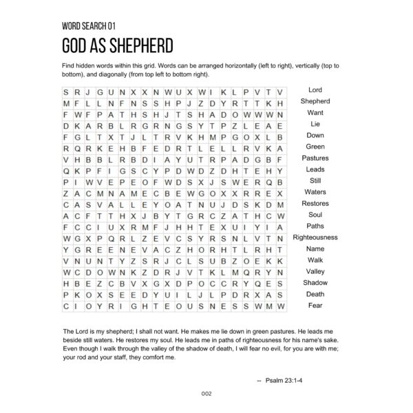 Bible activity book - word search